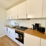 Rent 1 bedroom apartment of 42 m² in Dresden