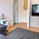 Rent 1 bedroom apartment in brussels