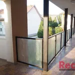 Rent 1 bedroom apartment of 28 m² in Brno