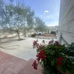 Rent 4 bedroom apartment of 130 m² in Matera