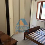 Affitto 2 camera appartamento di 50 m² in Pisa