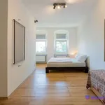 Rent 2 bedroom apartment of 100 m² in berlin