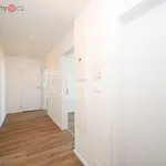 Rent 4 bedroom apartment of 81 m² in Trhový Štěpánov