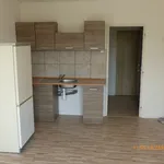 Rent 1 bedroom apartment in Most