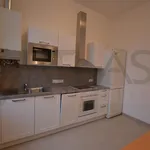 Rent 3 bedroom apartment of 110 m² in Prague