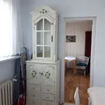 Rent 2 bedroom apartment of 49 m² in Krakow