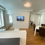 Rent 1 bedroom apartment of 40 m² in Wien