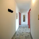 Rent 1 bedroom apartment in Turin