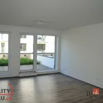 Rent 1 bedroom apartment in Plzeň