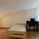 Rent 1 bedroom apartment of 19 m² in Łódź