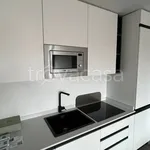 Rent 3 bedroom apartment of 85 m² in Pavia