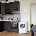 Rent 1 bedroom apartment in Prague