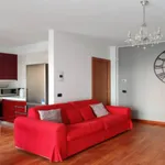 Rent 1 bedroom apartment in Milan