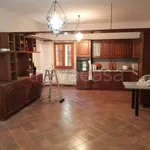 Rent 6 bedroom apartment of 180 m² in Senigallia