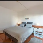 Alugar 1 quarto apartamento de 55 m² em Albufeira