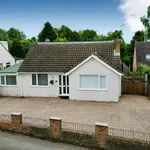 Rent 4 bedroom house in East Midlands