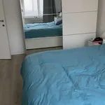 Rent 2 bedroom apartment in brussels