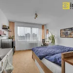 Rent 1 bedroom apartment in Prague