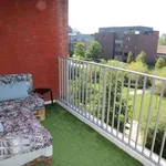 Rent 2 bedroom apartment in Gent