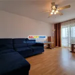 Rent 1 bedroom house of 42 m² in Bucharest