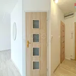 Pronajměte si 2 ložnic/e byt o rozloze 48 m² v Litoměřice