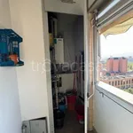 Rent 3 bedroom apartment of 72 m² in Torino