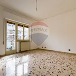 Rent 4 bedroom apartment of 156 m² in Palermo