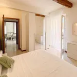 Rent 1 bedroom apartment in Bologna