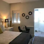 Rent 1 bedroom apartment in Lisbon