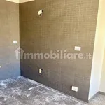 Rent 2 bedroom apartment of 65 m² in Cagliari