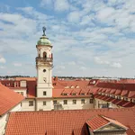 Rent 1 bedroom apartment of 75 m² in Prague