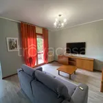 Rent 3 bedroom apartment of 100 m² in Legnano