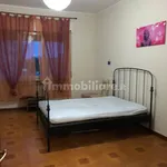 Rent 3 bedroom apartment of 100 m² in Pescara