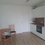 Rent 1 bedroom apartment in Pardubice