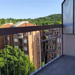 Rent 1 bedroom apartment of 33 m² in Banchette