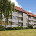 Rent 3 bedroom apartment of 82 m² in Roskilde