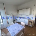 Rent 1 bedroom apartment of 41 m² in Hradec Králové