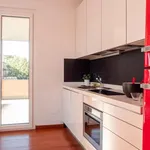 Rent 1 bedroom apartment in Milan