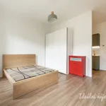 Rent 1 bedroom apartment of 33 m² in Capital City of Prague