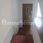 Rent 2 bedroom apartment of 50 m² in Pisa