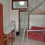 Rent 1 bedroom apartment of 35 m² in Frosinone