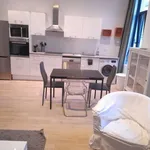 Rent 1 bedroom apartment in brussels