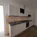 Rent 3 bedroom apartment of 70 m² in Lodi