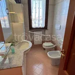 Rent 3 bedroom apartment of 70 m² in Monsummano Terme