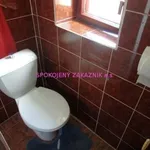 Rent 1 bedroom apartment of 1 m² in Nový Bor