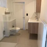 Rent 3 bedroom house in Koksijde