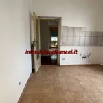 Rent 2 bedroom apartment of 81 m² in Velletri