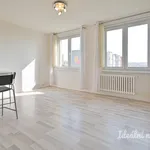 Rent 1 bedroom apartment of 33 m² in Brno