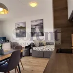 Pronájem bytu 1+kk 45m²