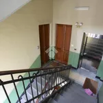 Rent 3 bedroom apartment of 70 m² in Pinerolo